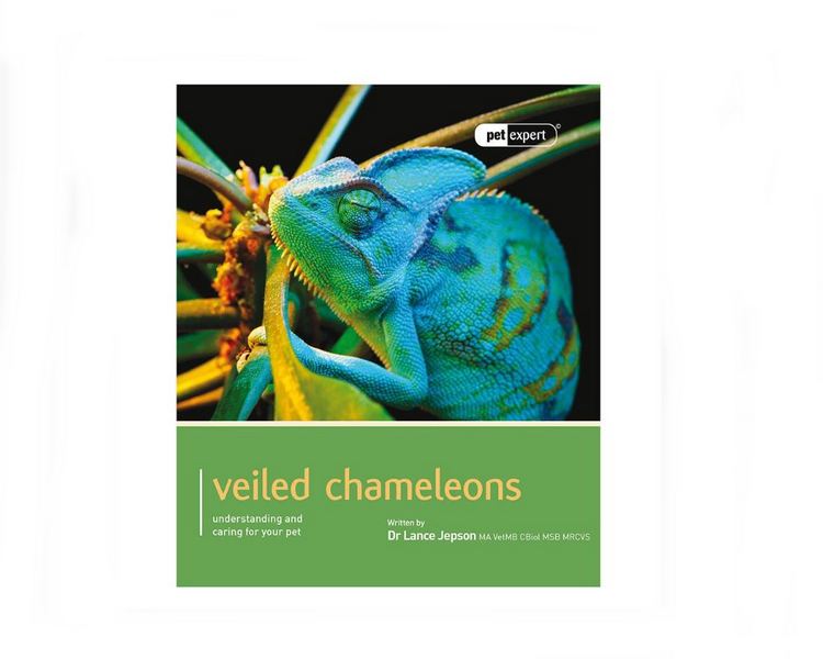 Pet Expert Yemen Chameleon Book